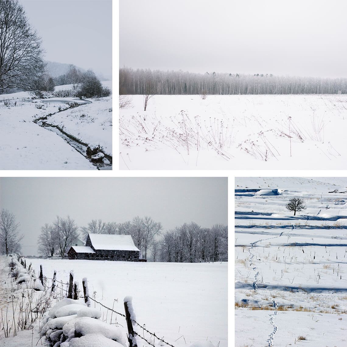 Architectural Visualization Project: Weather References