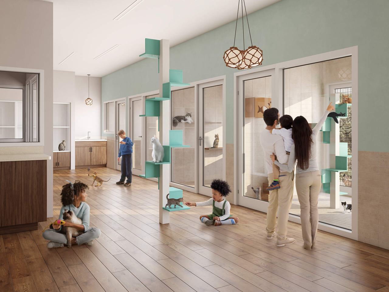 3D Building Rendering of the Cat Adoption Area After Post-Production