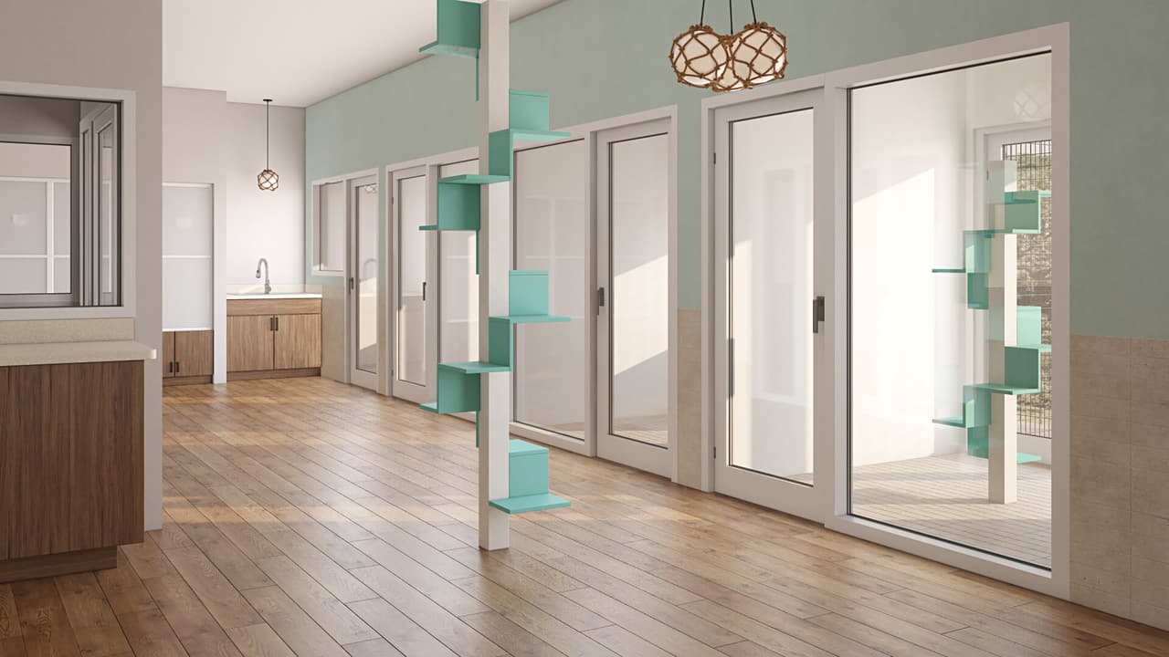 First Version of the Cat Adoption Area 3D Render