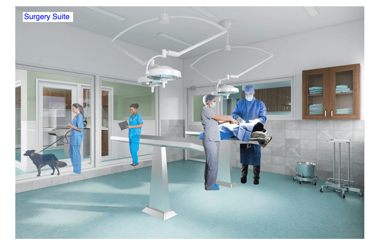 Client’s Notes on Photoshop Work for Interior 3D Building Rendering