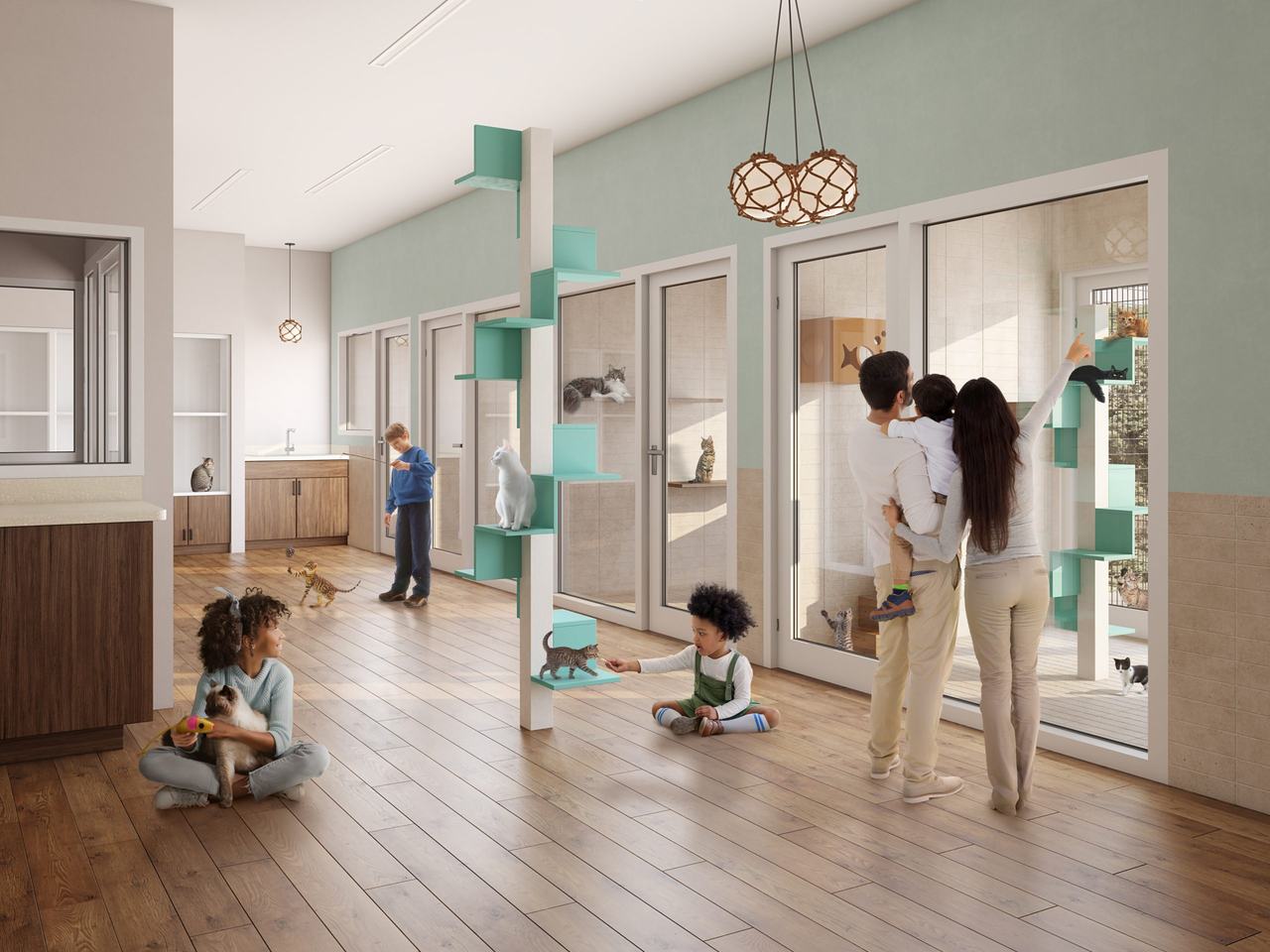 Interior 3D Building Rendering of a Cat Adoption Area