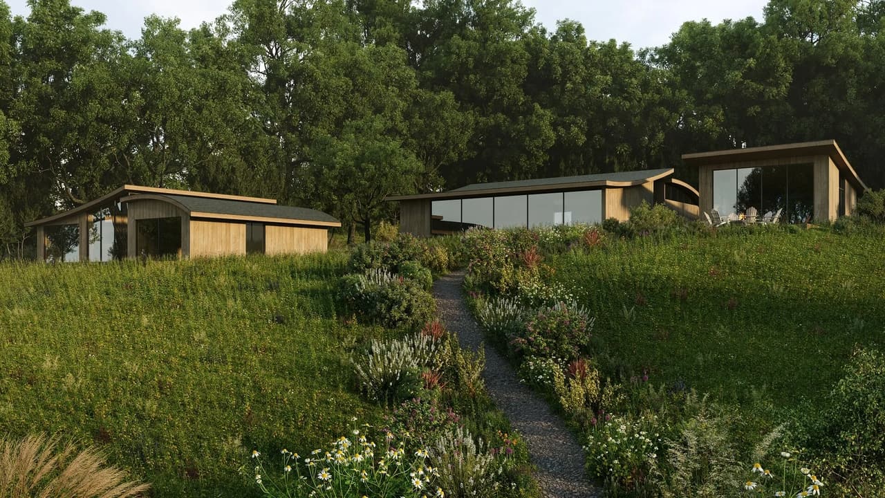 Exterior rendering of a multi-pavilion timber residence set into a hillside with curved rooflines, connected by a garden path through wildflowers