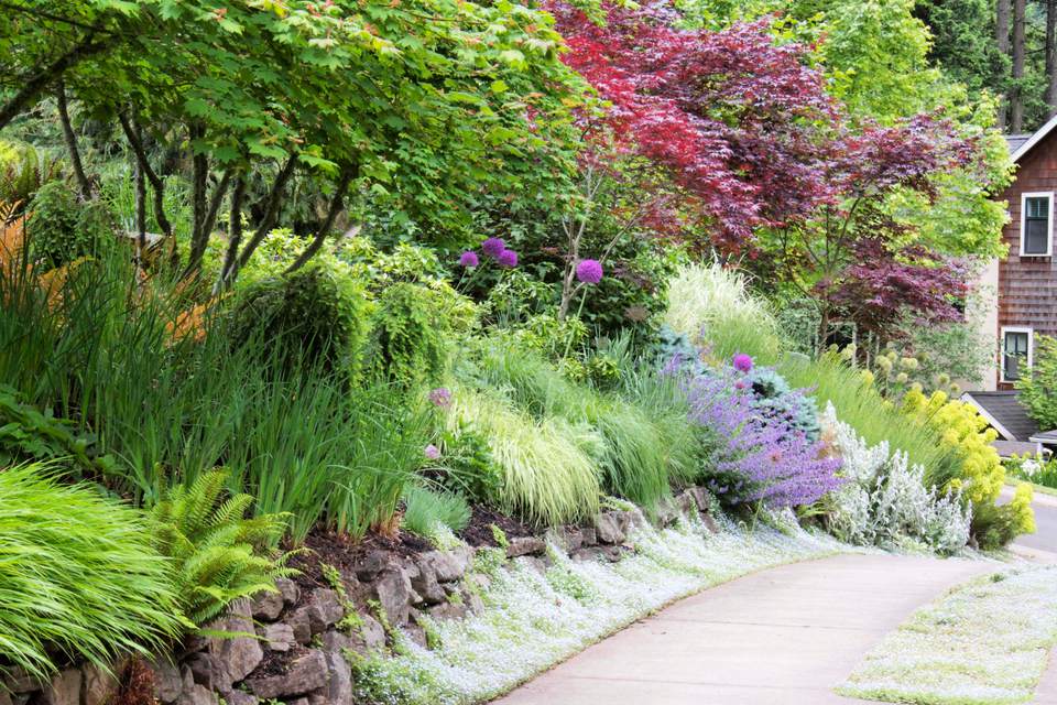 A Reference for a Garden for a 3D Architectural Rendering Project