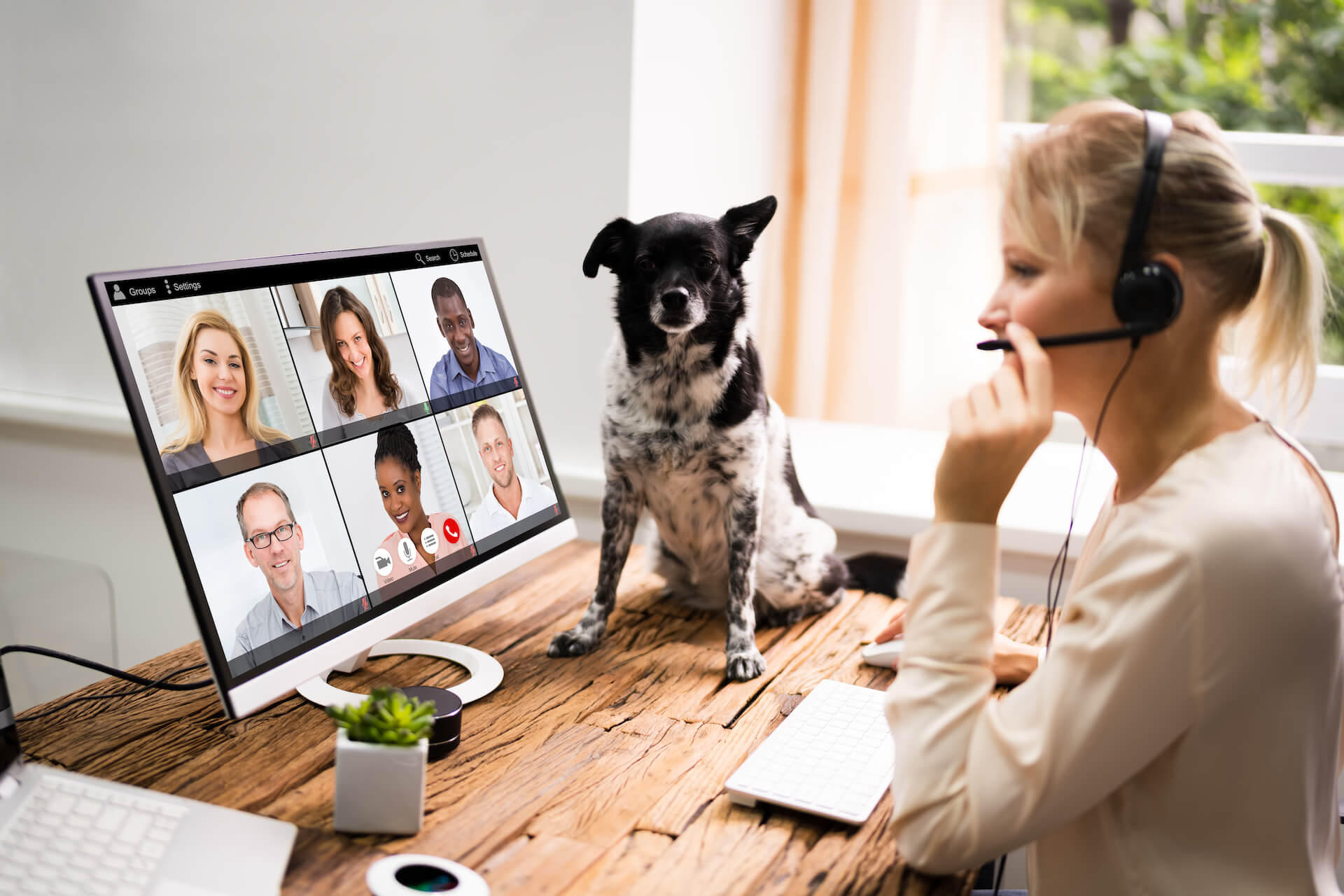 Woman Not Following Zoom Etiquette Instructions On Pets