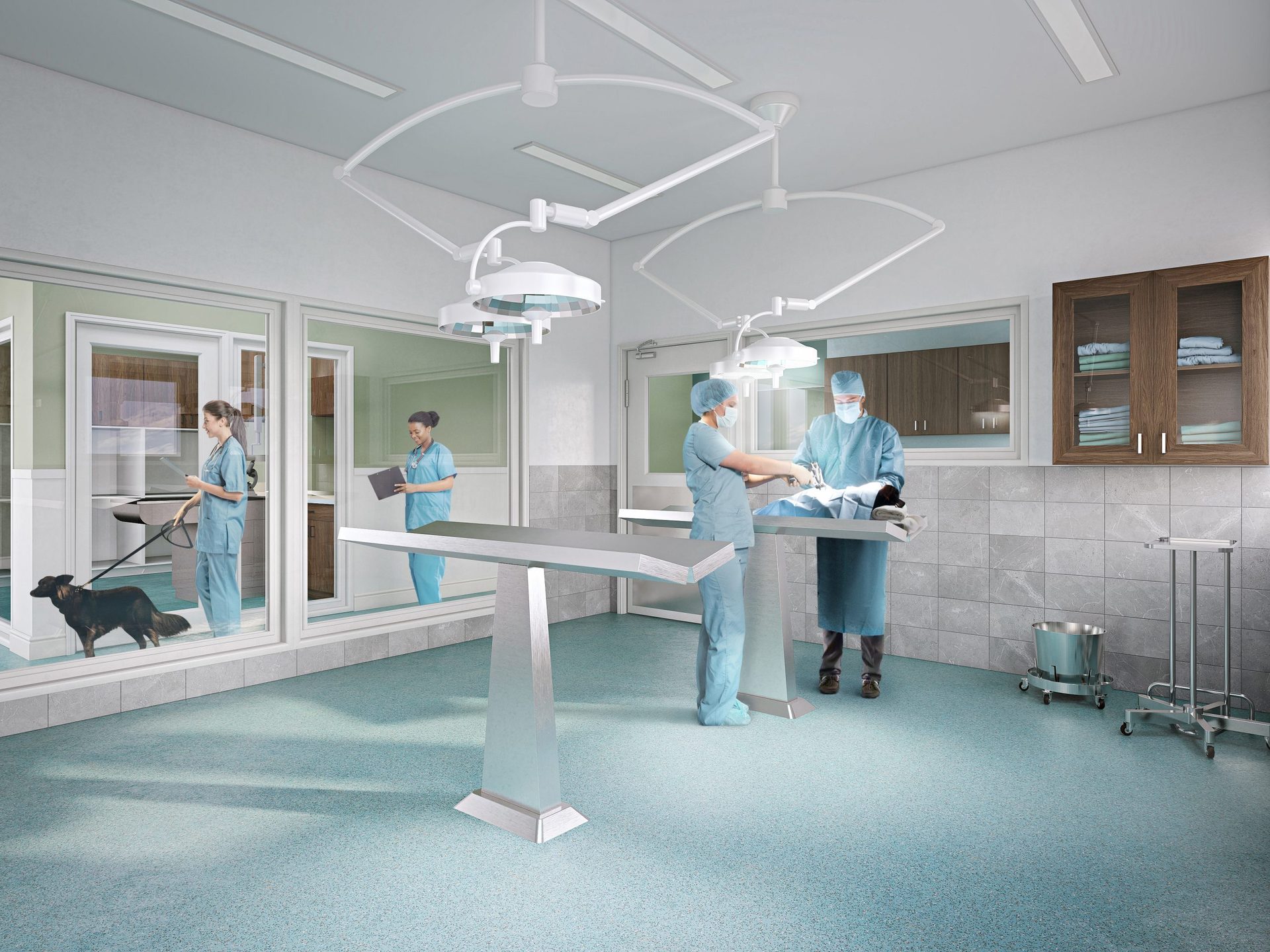 Interior 3D Building Rendering of a Veterinary Surgery Room