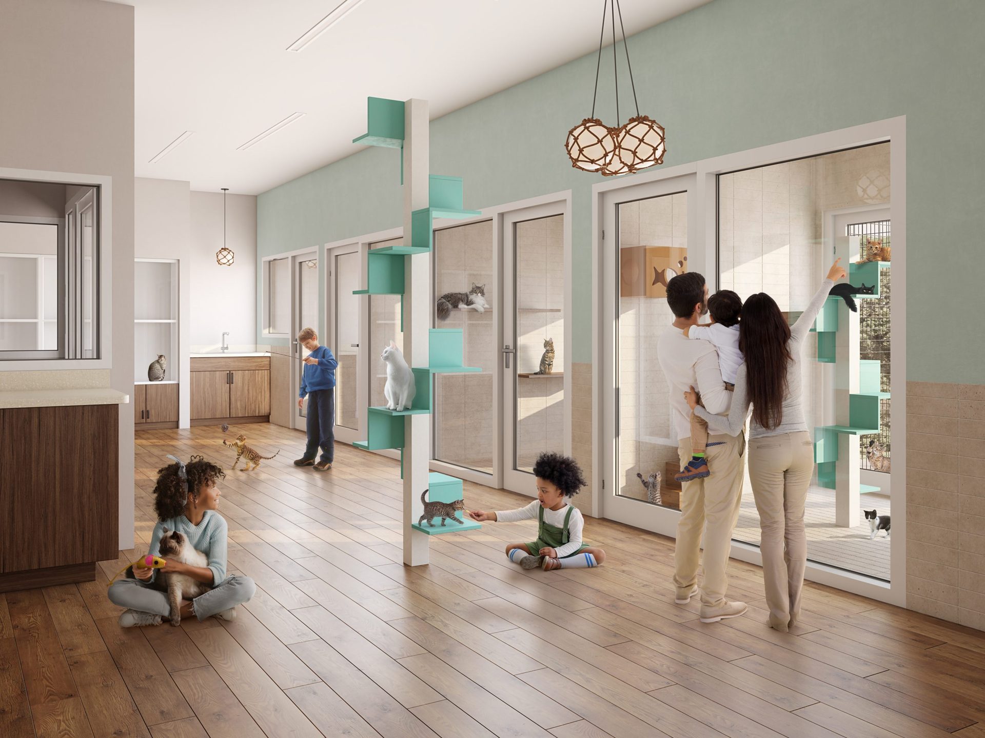 Interior 3D Building Rendering of a Cat Adoption Area