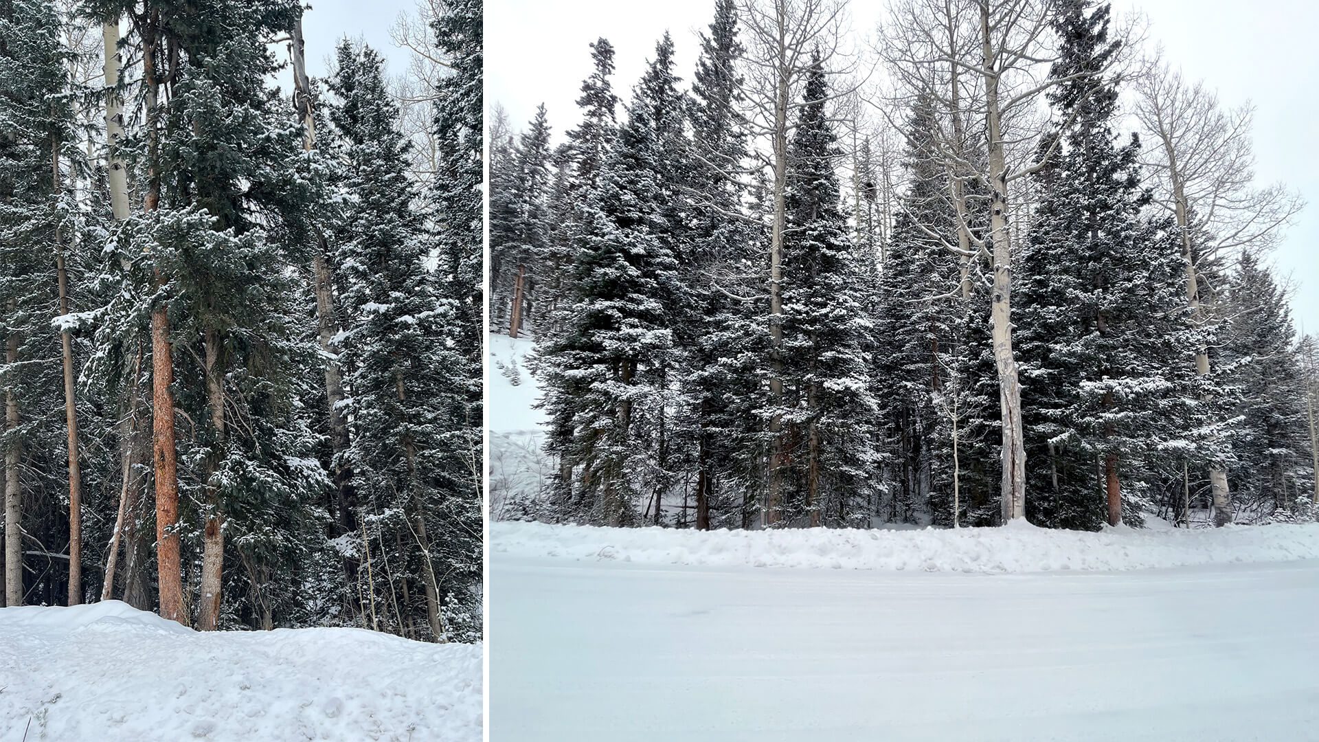 Photos of the Residence Location in Colorado