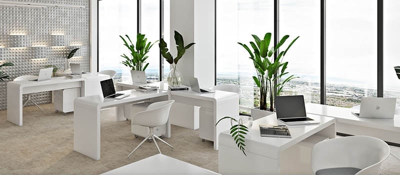 An Office Interior with Ready Furniture Revit Family 