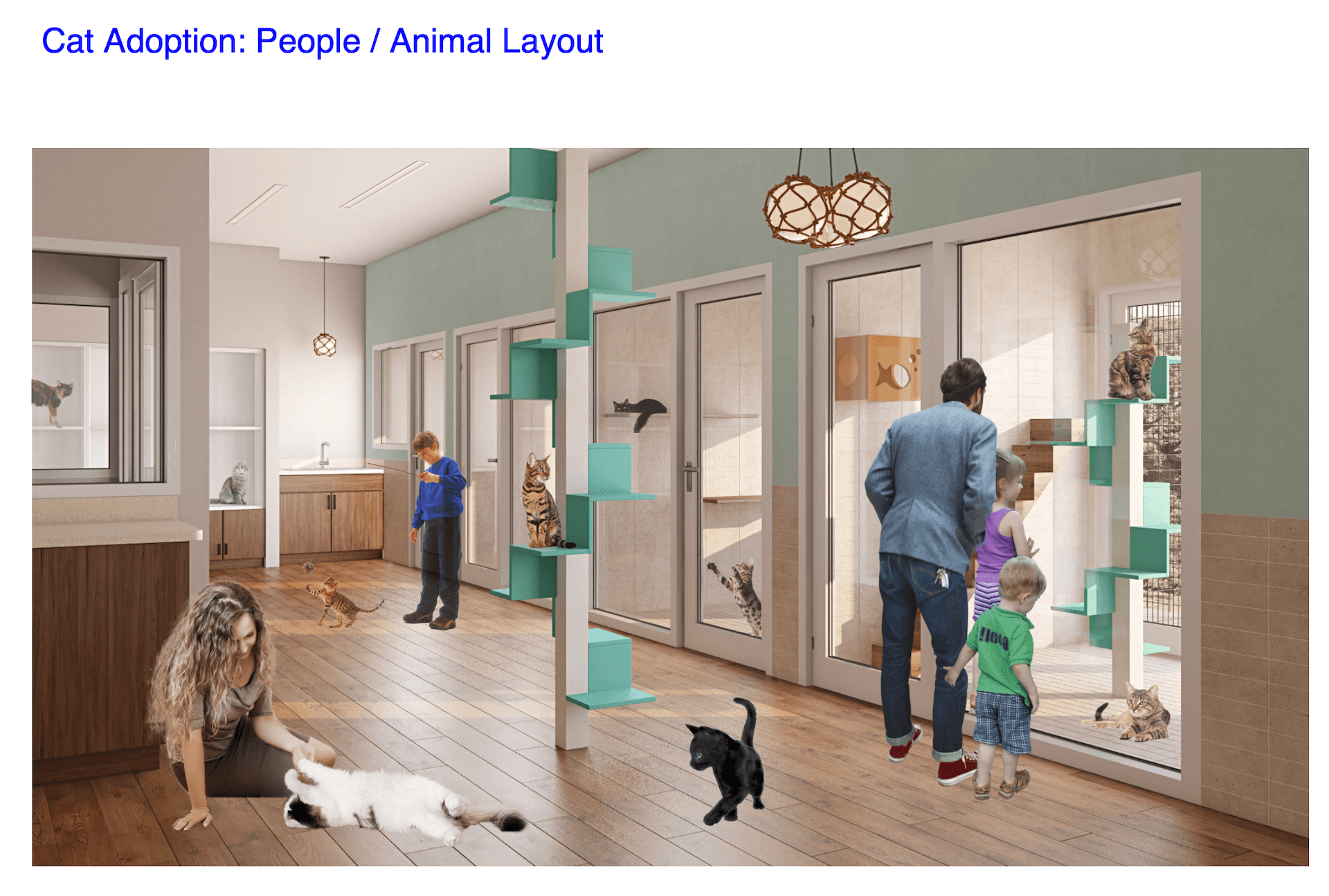 Layout for Positioning of People and Cats in the 3D Rendering