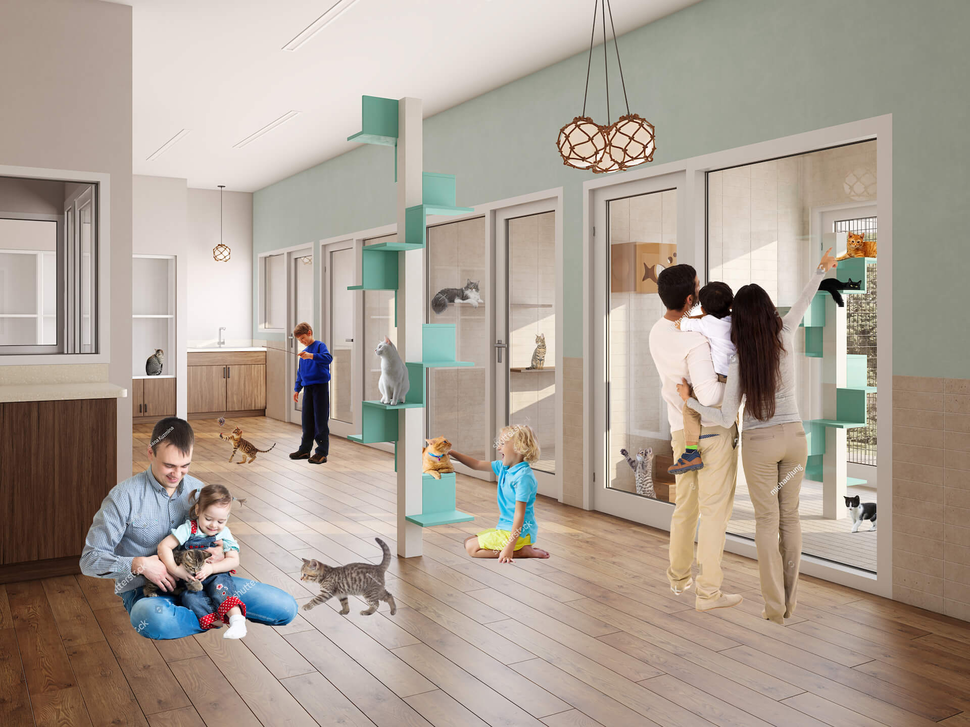 First Draft of Cat Shelter Rendering with Photoshopped People and Cats