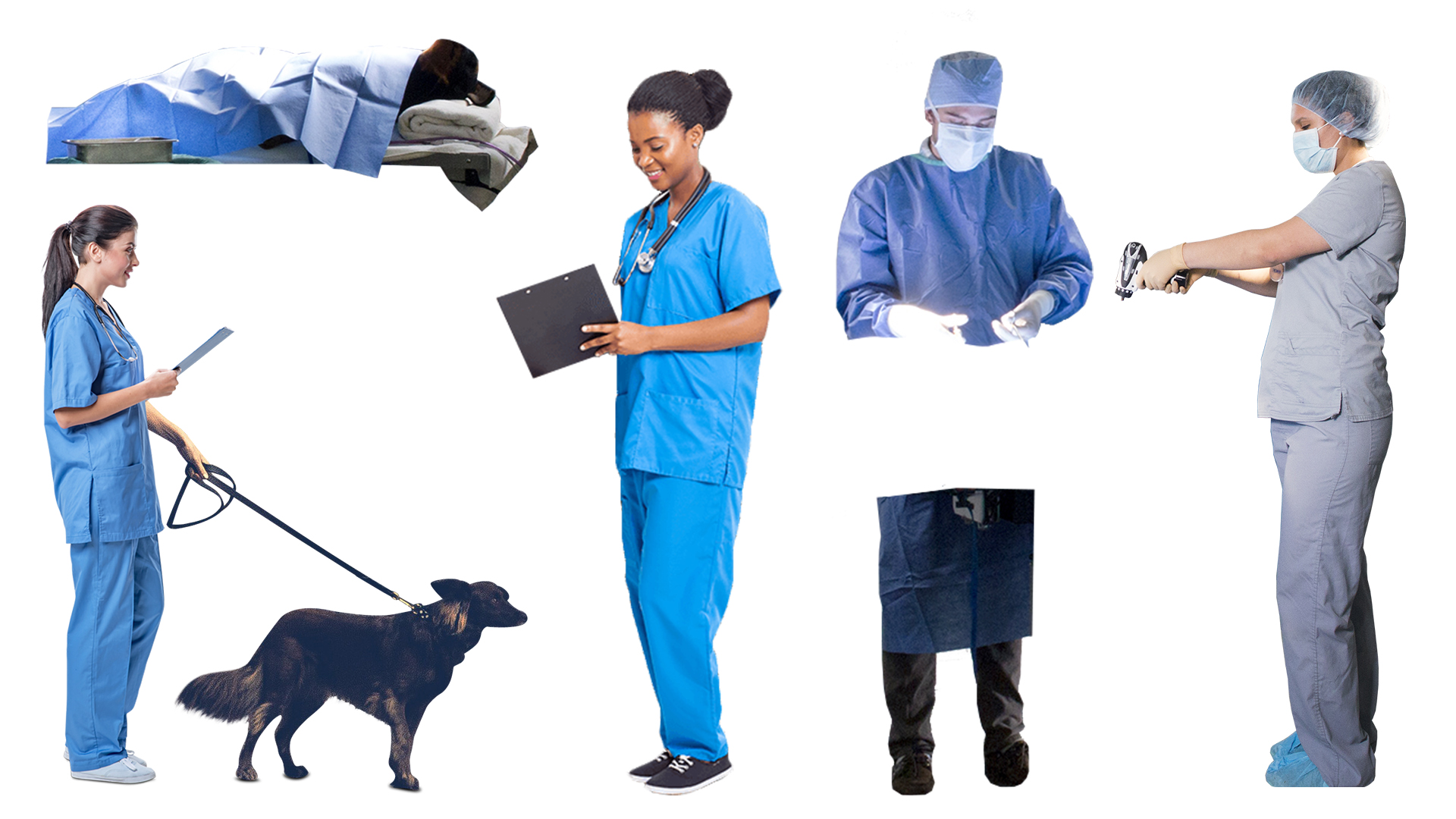 Photo References of Veterinary Clinic Staff and Animals