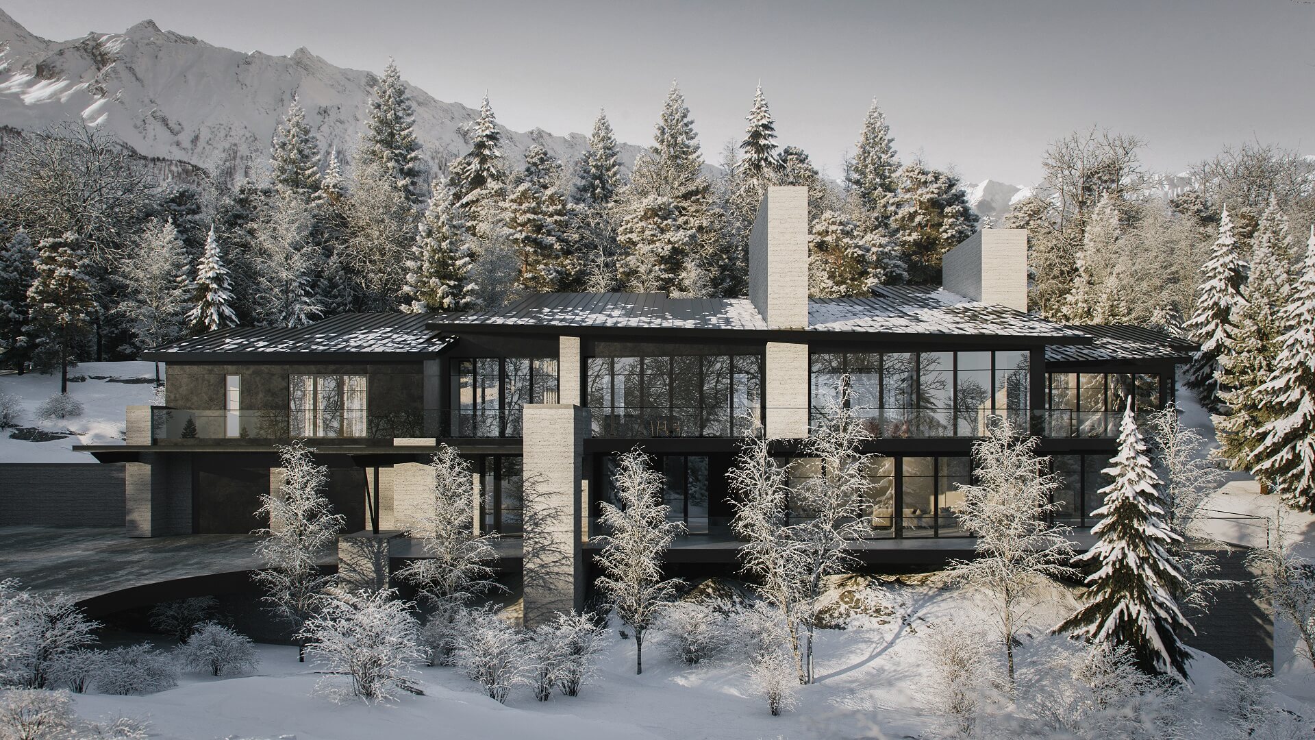 Winter Residence 3D Views