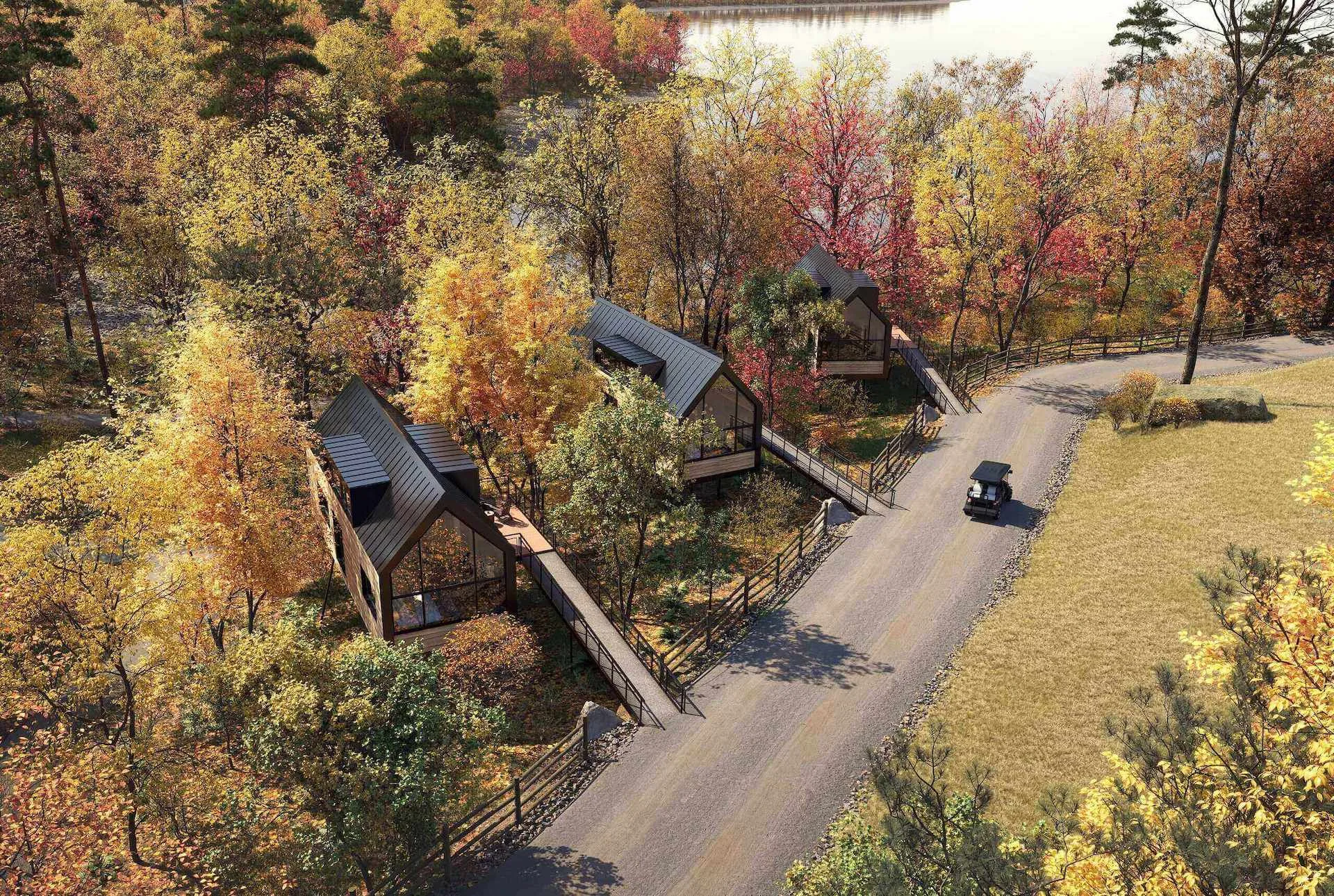 Small woodland property development with modern cabins along a rural road, visualized through a 3D rendering